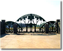 Botanical-Garden