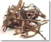 bhringaraja-plant