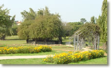 botanical-garden