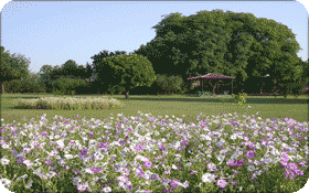 garden-city