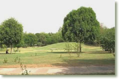 environment