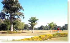 garden-of-fragance