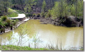nature-trail1