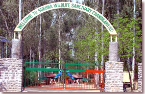 Sukhna-Wildlife-Sanctuary