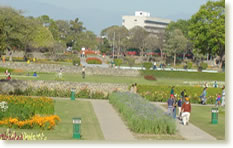 terraced-garden