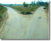 tracks