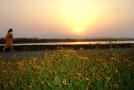 Sun-Rise-at-Sukhna-Lake-2